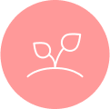 Services Wellbeing in the Workplace